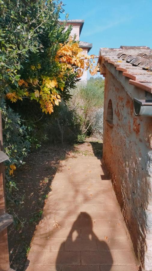 Cosy Country Room Garden Sovicille Exteriér fotografie