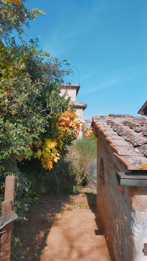 Cosy Country Room Garden Sovicille Exteriér fotografie
