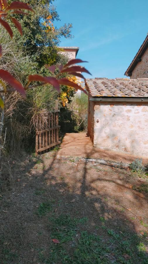 Cosy Country Room Garden Sovicille Exteriér fotografie