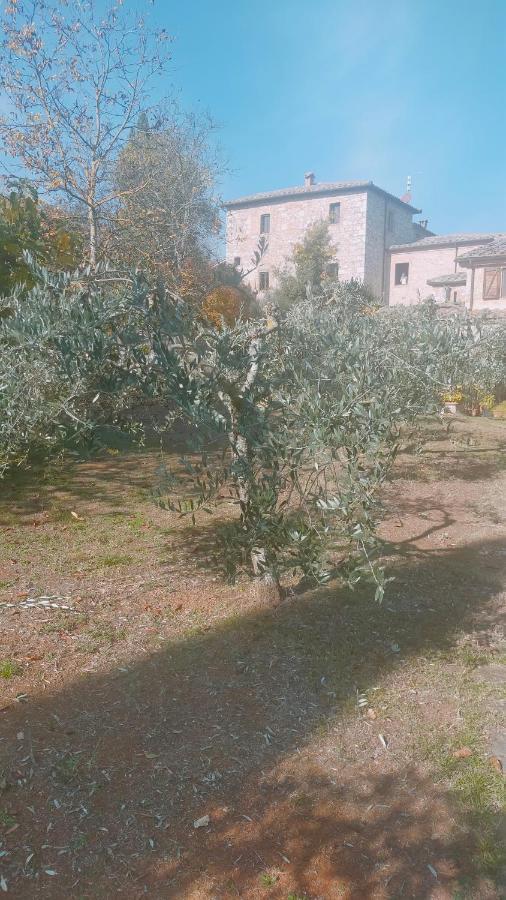 Cosy Country Room Garden Sovicille Exteriér fotografie